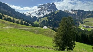 Sentier des fromageries - Gruyères null