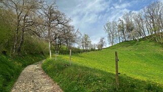 Sentier des fromageries - Gruyères null