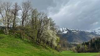 Sentier des fromageries - Gruyères null
