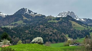 Sentier des fromageries - Gruyères null