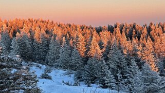 Col du Marchairuz - Grand Cunay null