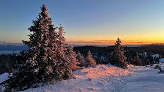 Col du Marchairuz - Grand Cunay null