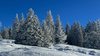 Col du Marchairuz - Grand Cunay null