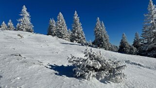 Col du Marchairuz - Grand Cunay null