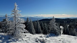 Col du Marchairuz - Grand Cunay null