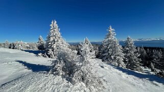 Col du Marchairuz - Grand Cunay null
