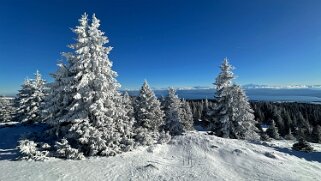 Col du Marchairuz - Grand Cunay null