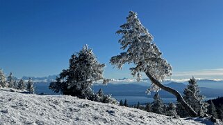 Col du Marchairuz - Grand Cunay null