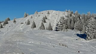 Col du Marchairuz - Grand Cunay null