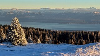 Col du Marchairuz - Grand Cunay null