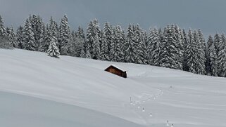 La Lécherette - Monts Chevreuils null
