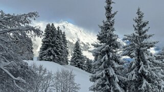 La Lécherette - Monts Chevreuils null