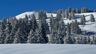 La Lécherette - Monts Chevreuils null
