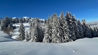 La Lécherette - Monts Chevreuils null