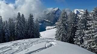 La Lécherette - Monts Chevreuils null