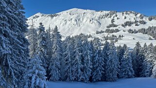 La Lécherette - Monts Chevreuils null