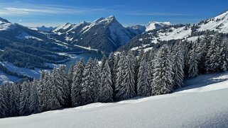 La Lécherette - Monts Chevreuils null