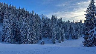 La Lécherette - Monts Chevreuils null