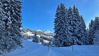 La Lécherette - Monts Chevreuils null