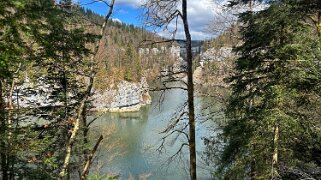 Lac des Brenets null