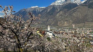 Saxon - Charrat null