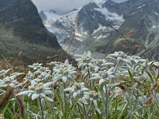 Ferpècle - Cabane de Bricola 2021 Valais - Suisse