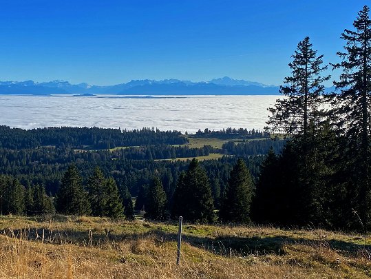 Les Cluds - Le Chasseron 2021 Vaud - Suisse