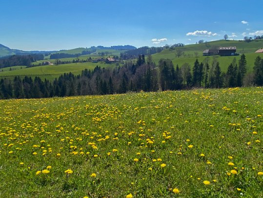 Schwarzwasser & Sense 2021 Berne & Fribourg - Suisse