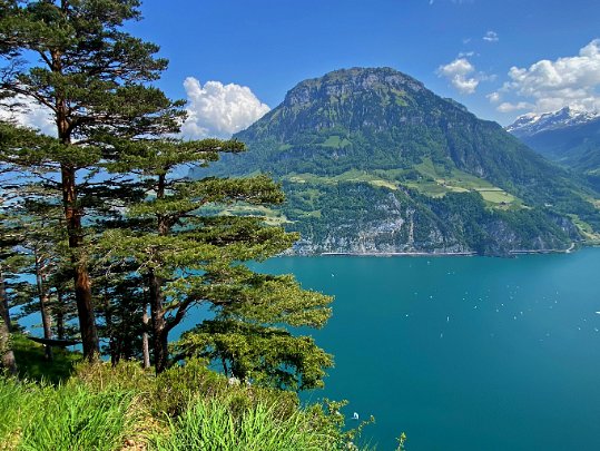Lac des Quatre-Cantons 2023 Lucerne, Schwytz & Uri - Suisse