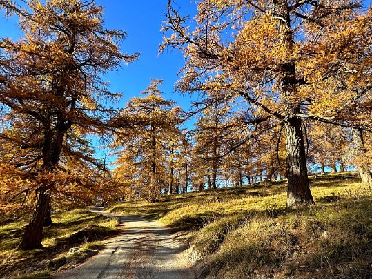 Col des Planches - La Crevasse 2024 Valais - Suisse