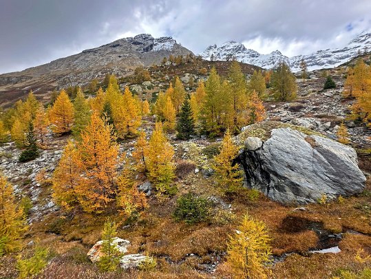 Lötschental 2024 Valais - Suisse