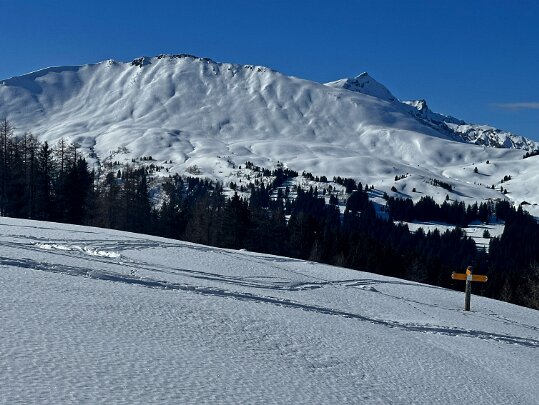 Feutersoey - Blattipass 2025 Berne - Suisse