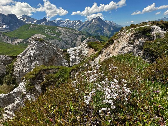 Turbach - Gryden - Louwenesee 2025 Berne - Suisse