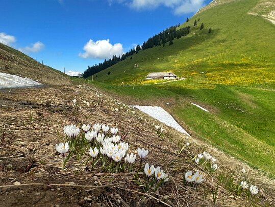 Les Paccots - Belle Chaux - Pralet 2025 Fribourg - Suisse