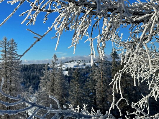 Col du Mollendruz - Croix de Châtel 2025 Vaud - Suisse