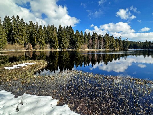 Etang de la Gruère 2026 Jura - Suisse