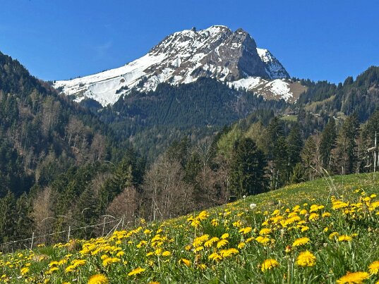 Sentier des fromageries - Gruyères 2026 Fribourg - Suisse
