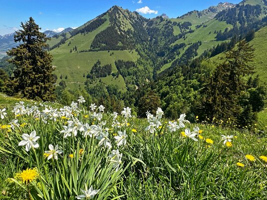 Lessoc - La Brâ 2026 Fribourg - Suisse