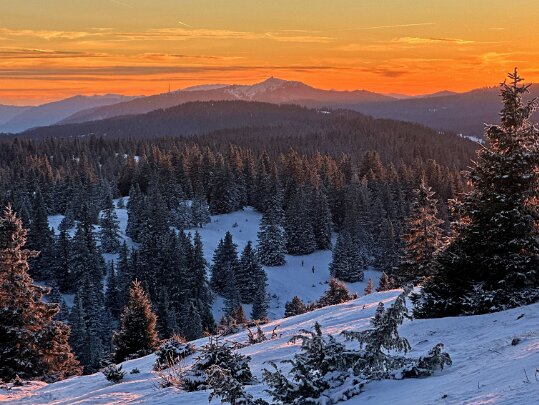 Col du Marchairuz - Grand Cunay 2026 Vaud - Suisse