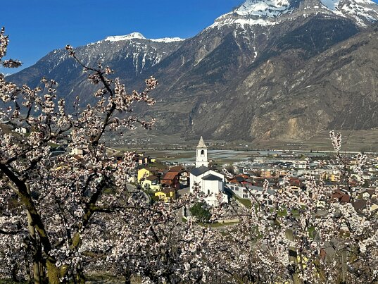 Saxon - Charrat 2026 Valais - Suisse