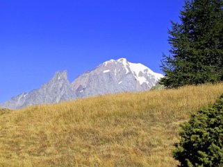 Monte Bianco 4810 m - Val d'Aoste Rando 2003