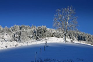 Habère-Poche - Vallée Verte Balade 2003