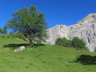 Combe des Andins Rando 2016