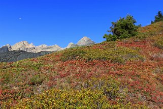 Aiguille de la Floria 2888 m Rando 2018