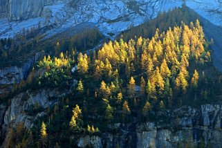 Holzspicherwald Rando 2018