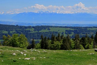 Dent de Vaulion 1483 m Rando 2019