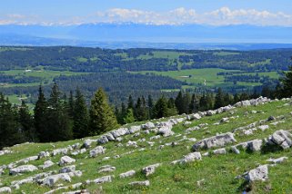 Dent de Vaulion 1483 m Rando 2019