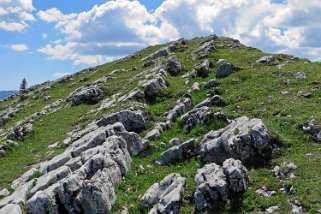 Dent de Vaulion 1483 m Rando 2019