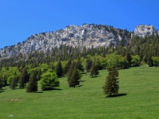 Aiguilles de Baulmes 1558 m Rando 2020