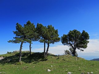 Aiguilles de Baulmes 1558 m Rando 2020